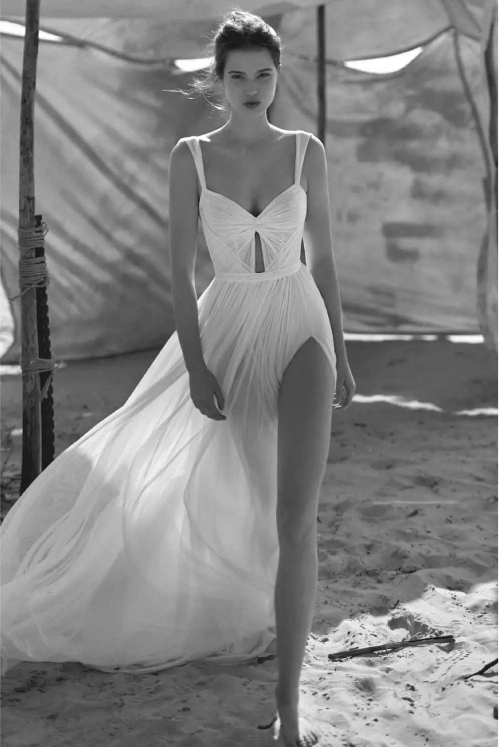 Dana Harel