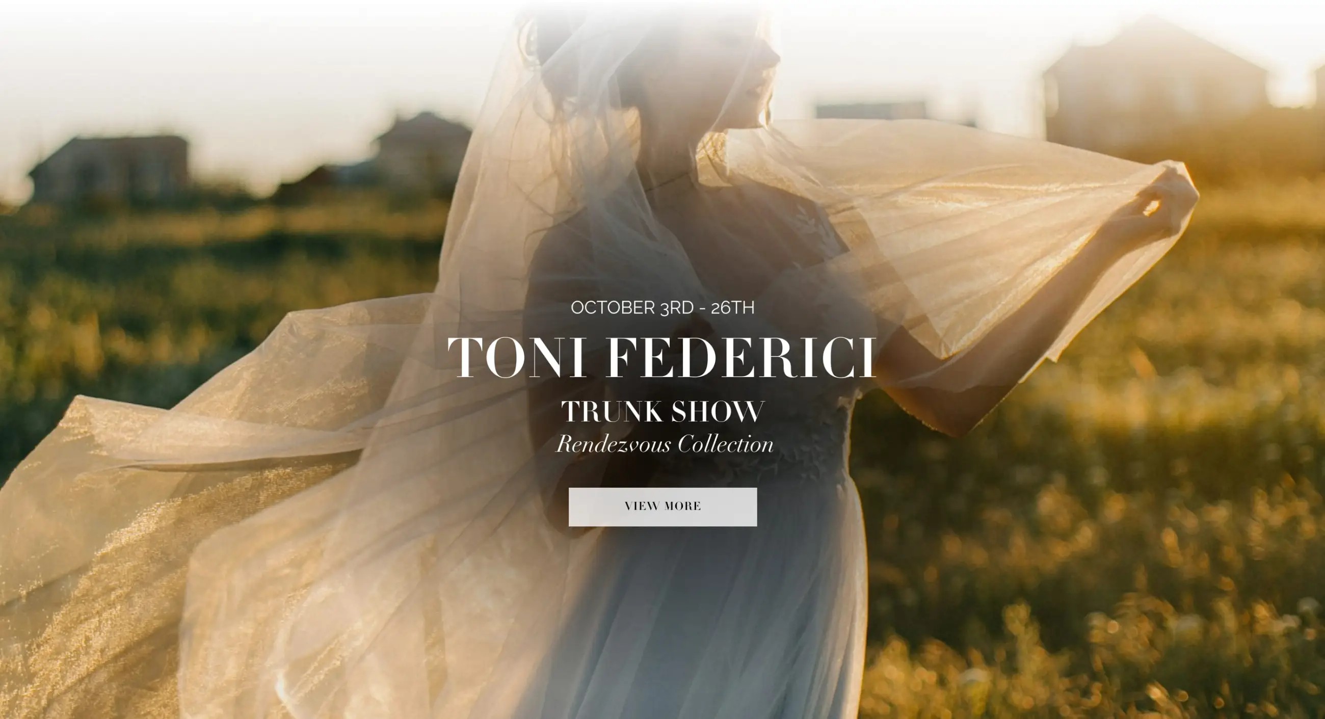 Toni Federici Trunk Show Desktop